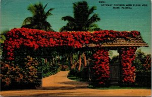 Vtg Miami Florida FL Entrance Gateway Covered with Flame Vine 1940s Postcard