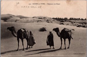 Algeria Scenes Et Types Chameaux au Desert Camels Postcard C314
