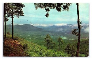 Hywy. 7 Roadside Park South Of Jasper Arkansas Scenic View Postcard