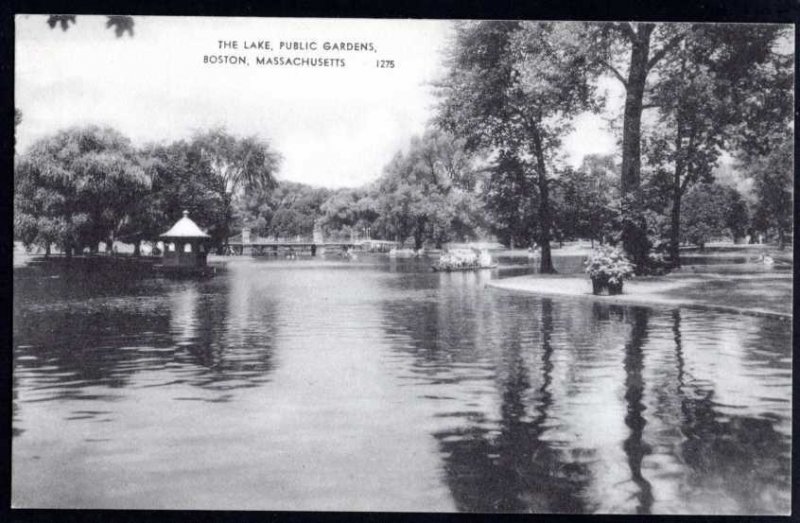 Massachusetts BOSTON The Lake, Public Gardens Pub American Art Post Card Co. DB