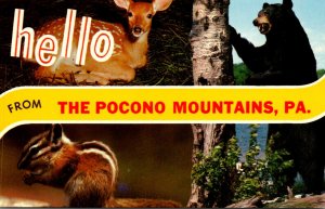 Pennsylvania Greetings From The Pocono Mountains Split View