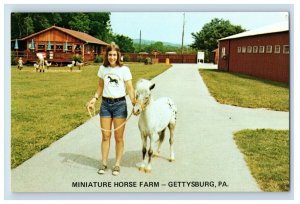 Vintage Gettysburg Miniture Horse Farm #2 Postcard P109E