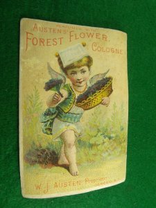 Austen's Forest Flower Cologne Pretty Cherub Basket Flowers A.L Zeiser Chemicals