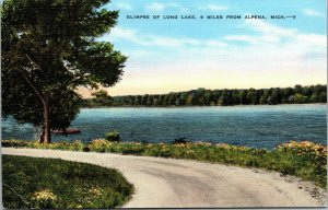 Vtg 1930s View of Long Lake 9 Miles from Alpena Michigan MI Linen Postcard