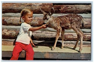 c1960 Buffalo Park Stagecoach Girl Feeding Deer Fawn Flagstaff Arizona Postcard