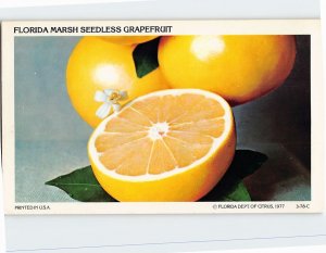 Postcard Florida Marsh Seedless Grapefruit, Florida