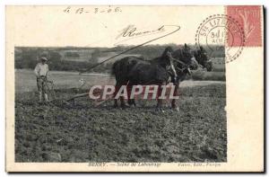 Old Postcard hitch Berry Scene Plowing Horses Horse Plow