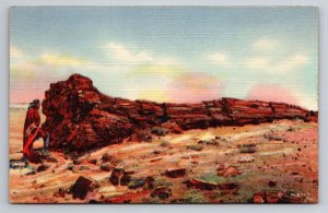 Nez By The Big Log Petrified Forest Arizona Vintage Unposted Postcard