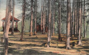 FAIRFIELD, ME Island Park Grove Maine Hand-Colored Vintage Postcard ca 1907