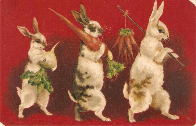 \Three rabbits bring their food\ Curious vintage postcard