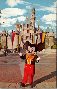 Disneyland Mickey It all Started With A Mouse Anaheim California Postcard X7