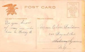 Bear Post Card Old Vintage Antique Teddy B writing on back