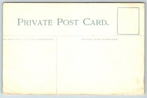 Windsor  Canada  Windsor & Detroit Ferry    Postcard