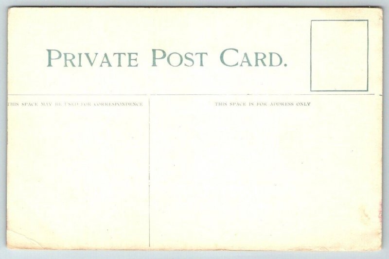 Windsor  Canada  Windsor & Detroit Ferry    Postcard