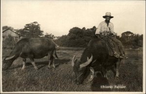 China Chinese Farmer on Water Buffalo c1910 Real Photo Postcard