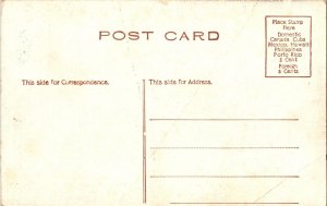 Bull Driven to West Franklin Creamery Franklin Township PA Vintage Postcard P43