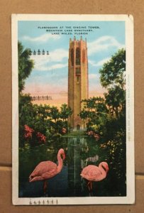 VINT 1933 USED  POSTCARD - FLAMINGOS AT THE SINGING TOWER, LAKE WALES, FLORIDA