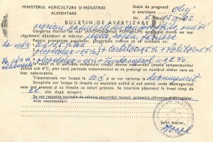 Romania postal stationery postcard tree growers add