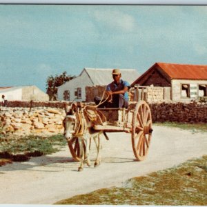 c1970s Turks and Caicos Islands Donkey Cart Salt Cay Harry Kline Delray Fla A198