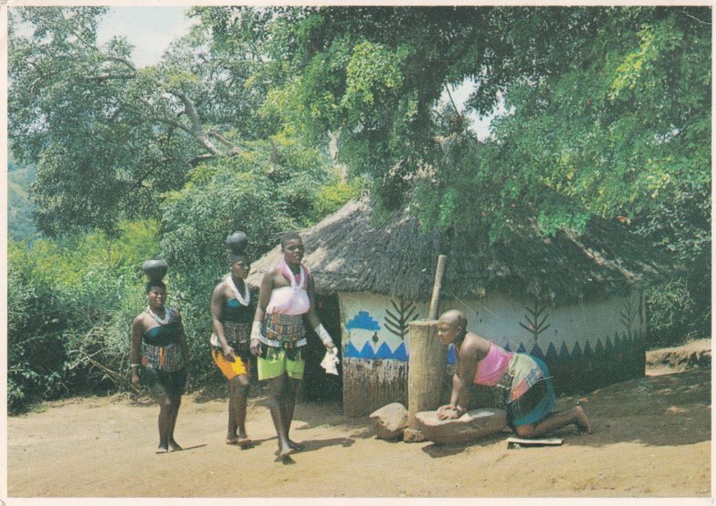 Zulu Women African Postcard