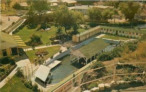 Bathing Pool State Park 1950s Lava Hot Springs Idaho Northwest Curio 10337