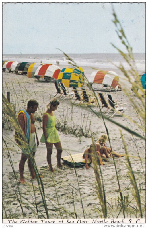 MYRTLE BEACH , South Carolina , PU-1977 ; Golden touch of Sea Oats