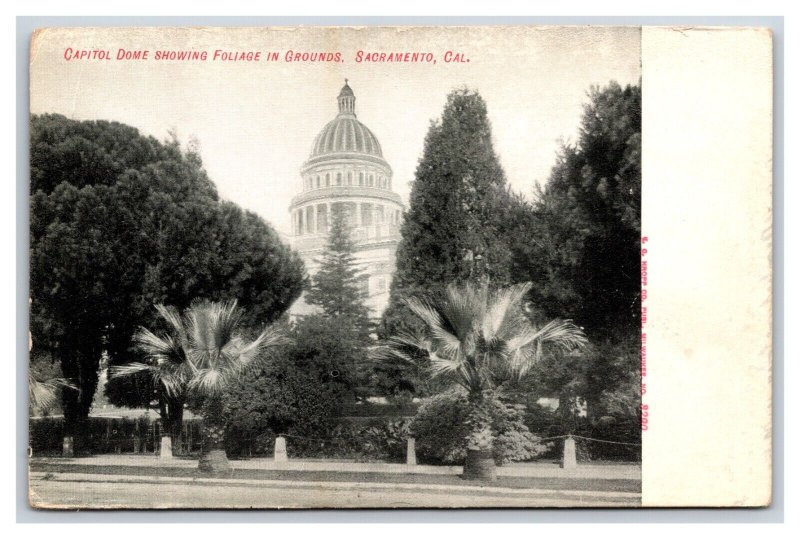 Capitol Dome and Grounds Sacramento California CA UNP Unused DB Postcard O14