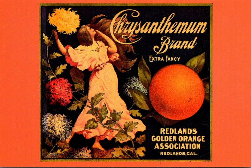 Old Citrus Label On Postcard Chrysanthemum Circa 1906 Redlands Golden Orange ...