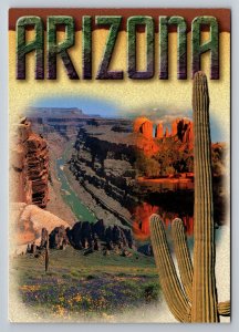 Arizona Multiview Mountains Cactus Plateaus Vintage Unposted Postcard