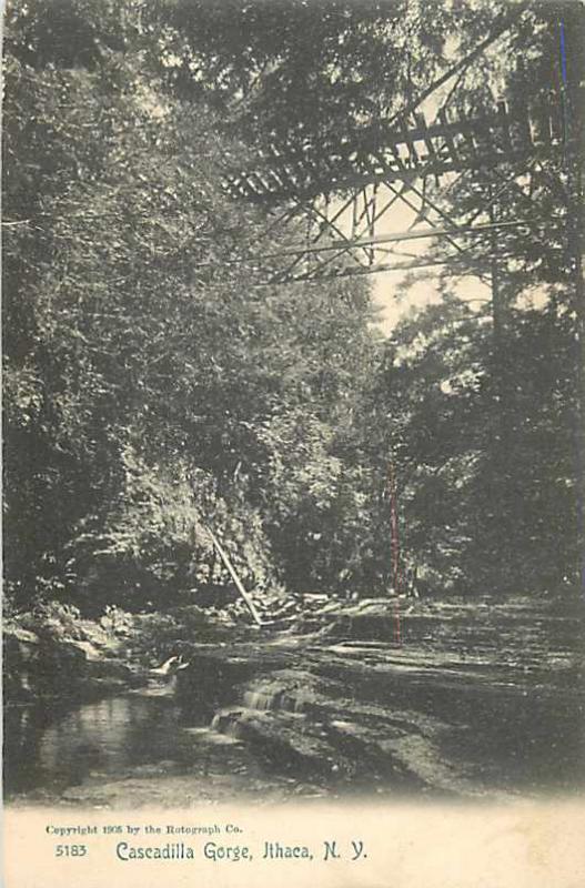 Cascadilla Gorge Ithaca New York NY 1905 UNDivided Back