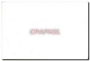 Modern Postcard Creil boat Peniche