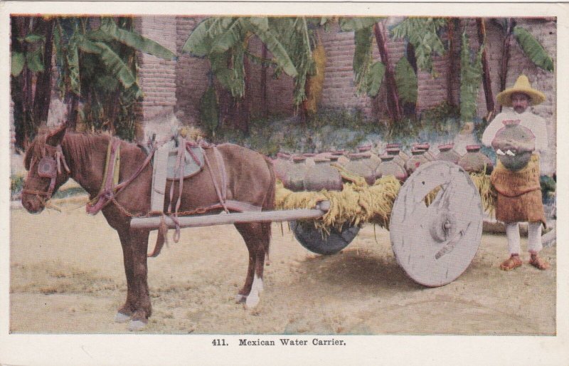 Mexico Typical Mexican Water Carrier With Horse & Wagon sk3339