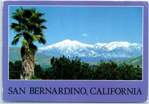 Postcard - San Bernardino, California