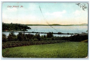 1907 A View Of Lake Auburn Maine ME Posted Antique Postcard 