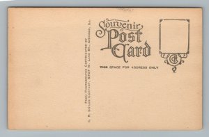 Work of the Winds Duneland Study Vintage Postcard