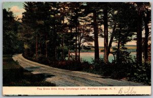 Richfield Springs New York 1906 Postcard Pine Grove Drive Along Candarago Lake