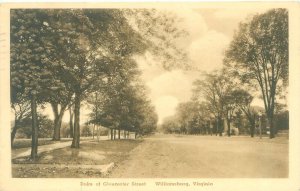 Williamsburg Virginia Duke of Cloucester St 1942 Sepia Albertype Postcard