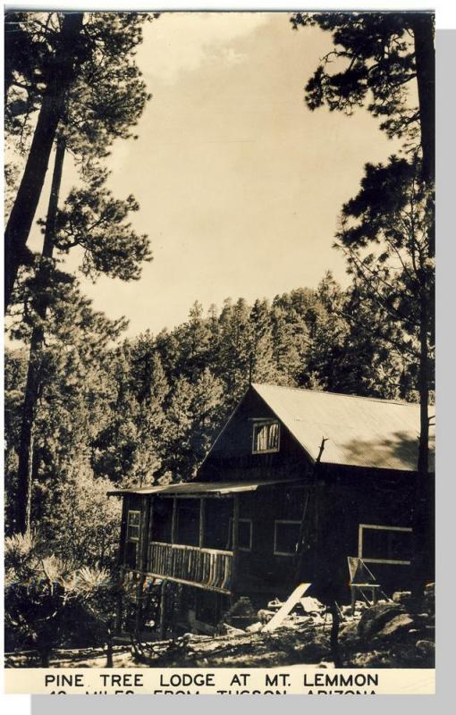 Rare Tucson, Arizona/AZ Postcard, Pine Tree Lodge, Mt Lemmon