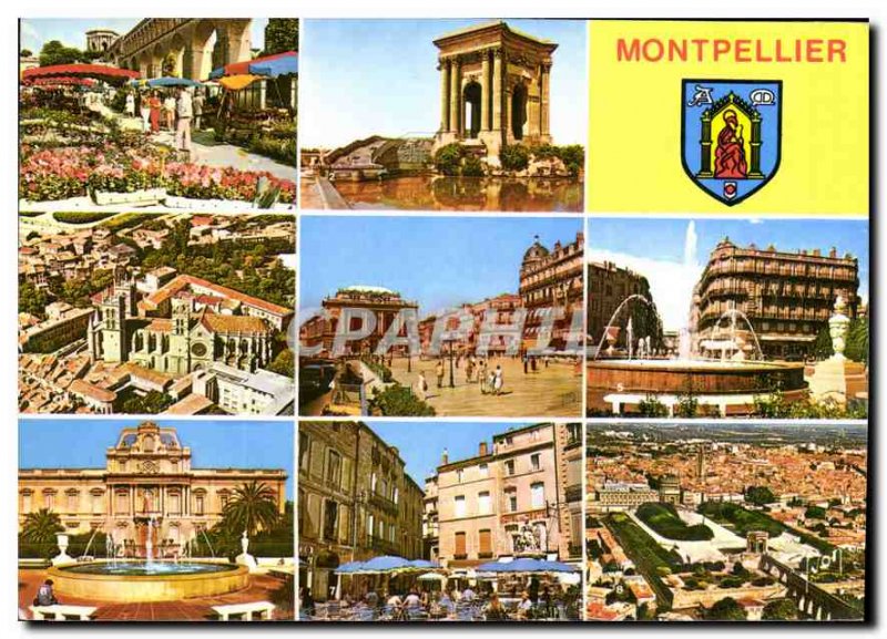 Postcard Modern Colors and light of France in Montpellier The flower market o...