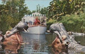 Disneyland Jungle Cruise