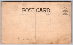 K41/ Hilo Hawaii Postcard c1910 Cocoanut Island Mauna Kea Snow 272