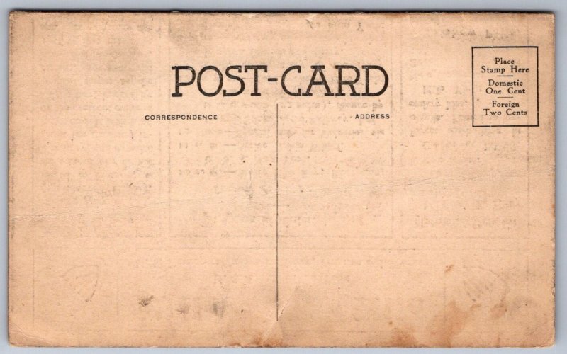 K41/ Hilo Hawaii Postcard c1910 Cocoanut Island Mauna Kea Snow 272