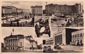 Bears Fighting In Berlin Germany Real Photo Views Postcard