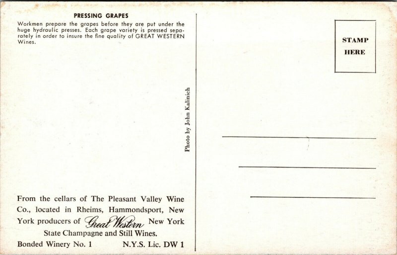 Vtg Pressing Grapes Pleasant Valley Winery Wine Company Hammondsport NY Postcard