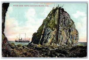 1909 Sugar Loaf Santa Catalina Island Cliff Steamer California Vintage Postcard 