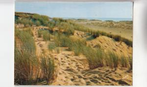 BF31399 les dunes pres de la mer   france front/back image