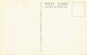 LPS65 FLYING FISH Roger Tory Peterson Postcard