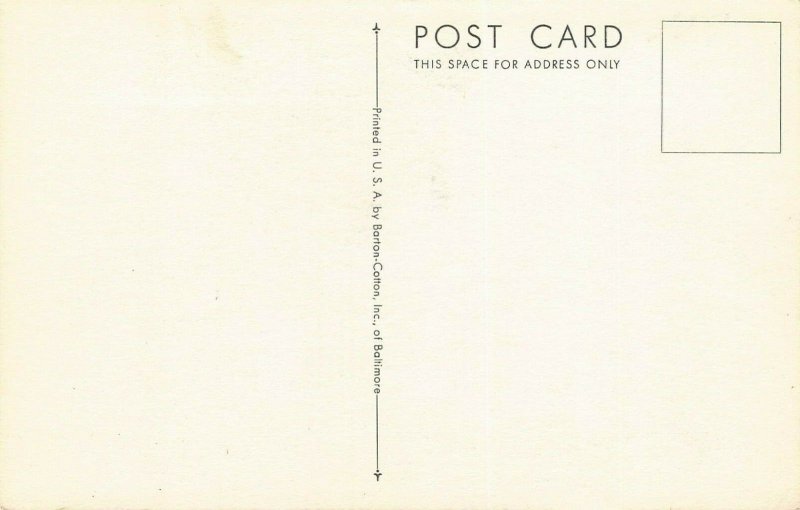 LPS65 FLYING FISH Roger Tory Peterson Postcard