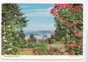 Rose Gardens, Portland, Oregon, used Postcard