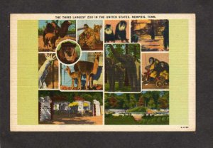 TN Zoo Animals Camels Chimps Monkeys Memphis Tennessee Linen Postcard Birds